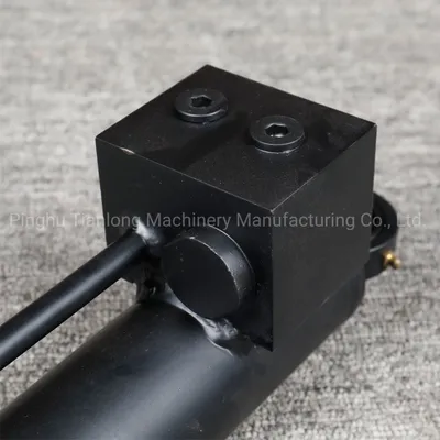 Valve Integrated&Customized High Precision Hydraulic Cylinder