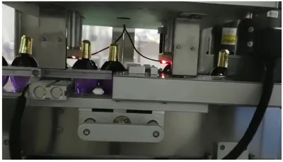 Edible Oil Two-Head Filling and Capping Machine